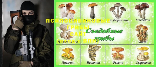 ешки Краснослободск