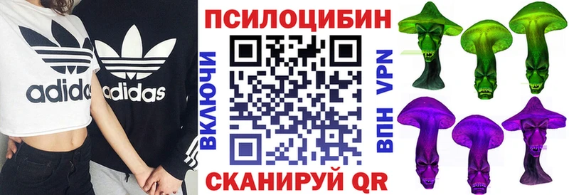 Псилоцибиновые грибы GOLDEN TEACHER  Медвежьегорск 